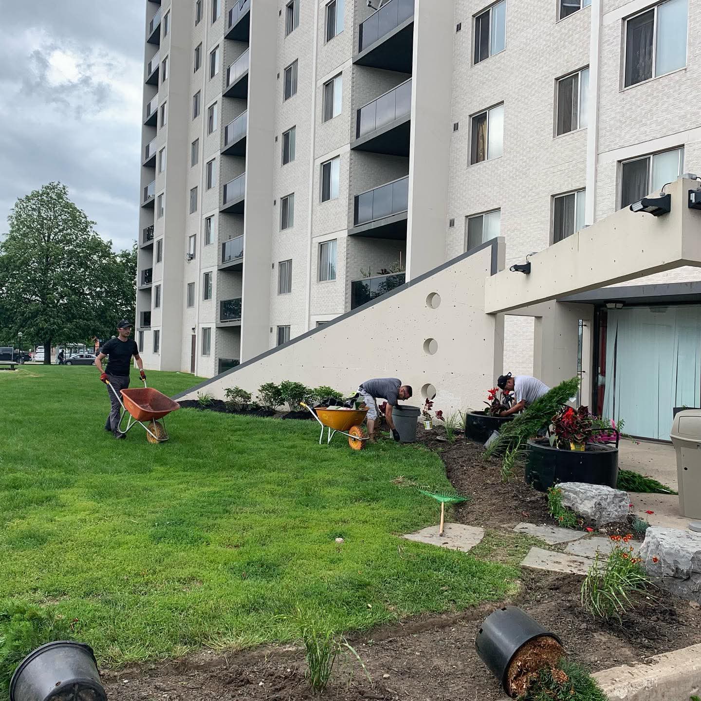 Apartment flowerbed cleanup