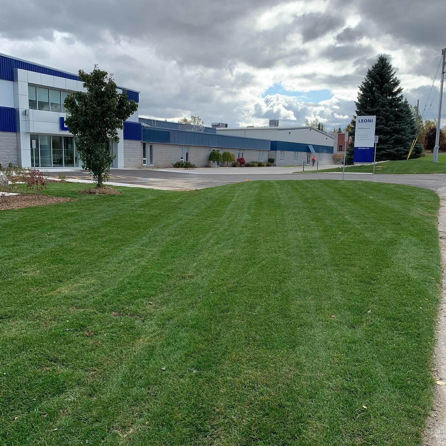 Commercial lawn care services