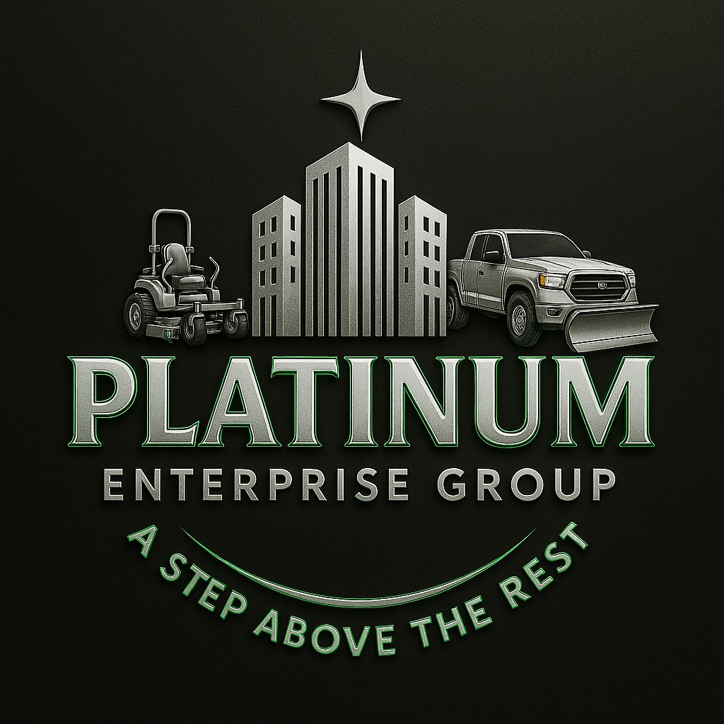 Platinum Enterprise Group Logo